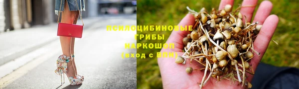 дживик Алексин
