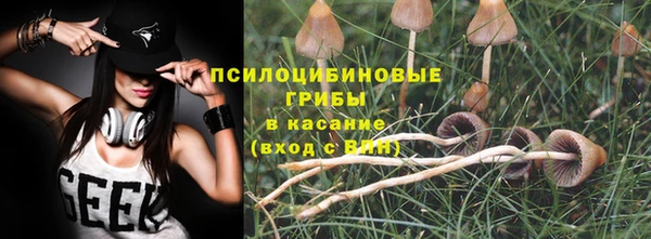 дживик Алексин