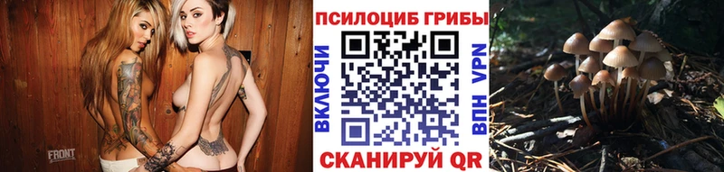 где можно купить наркотик  Геленджик  Псилоцибиновые грибы MAGIC MUSHROOMS 