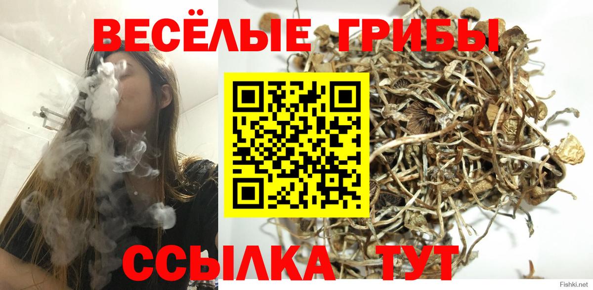 Галлюциногенные грибы ЛСД  Вход с VPN  Геленджик 